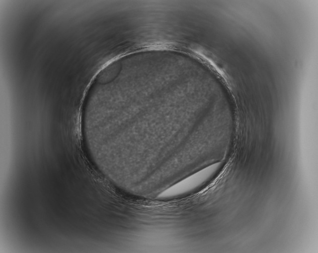 X0000095931174200802011015