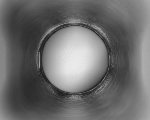 X0000095931175200802011015