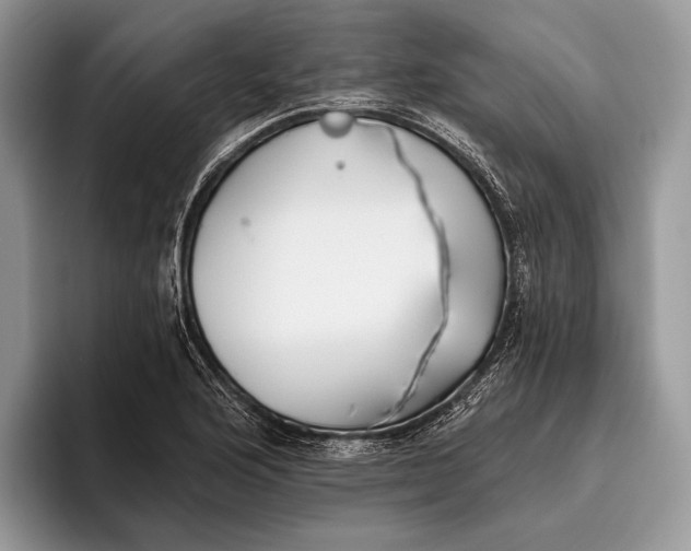 X0000095931176200802011015