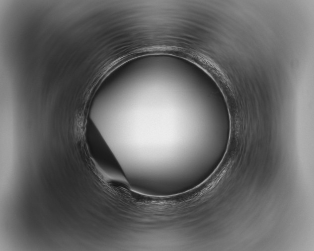 X0000095931177200802011015