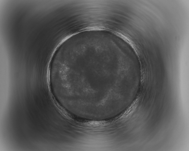 X0000095931179200802011015