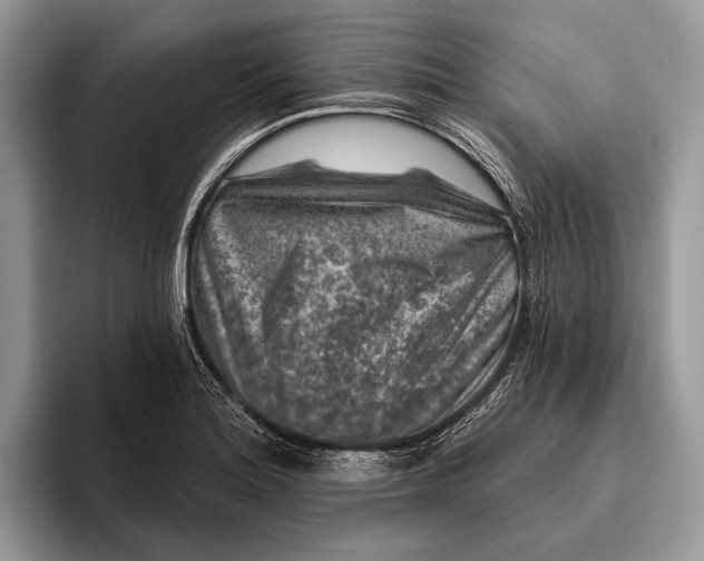 X0000095931180200802011015
