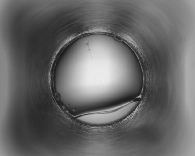 X0000095931181200802011015
