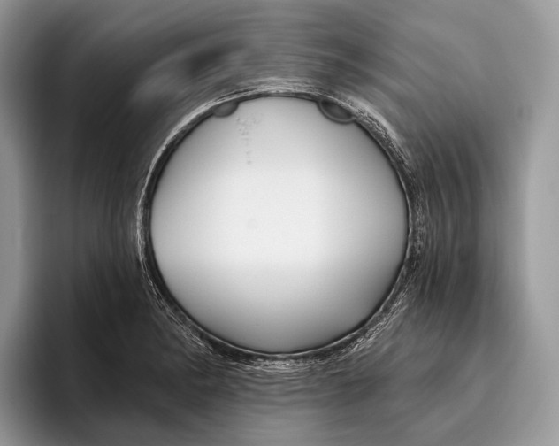 X0000095931182200802011015