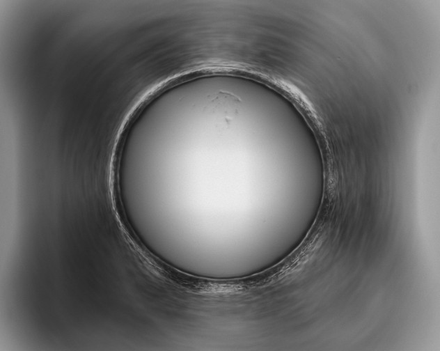 X0000095931183200802011015