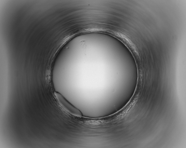 X0000095931185200802011015