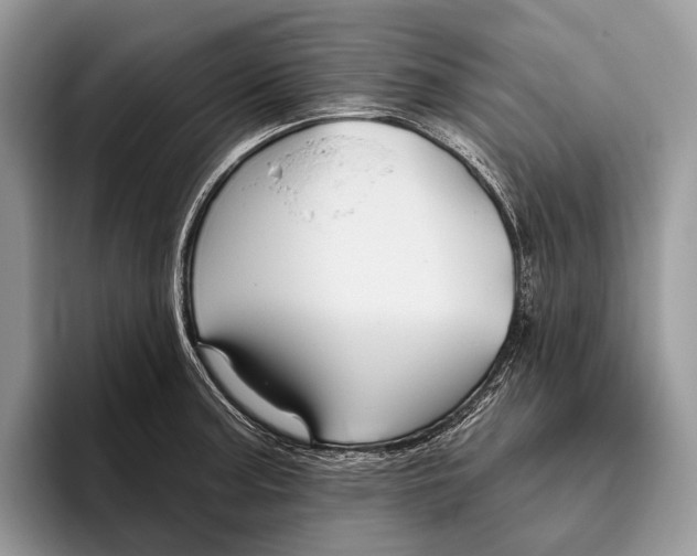 X0000095931187200802011015