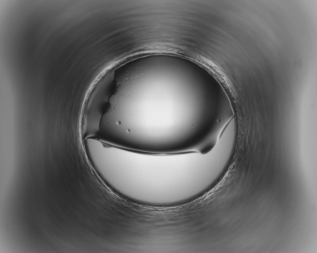 X0000095931188200802011015