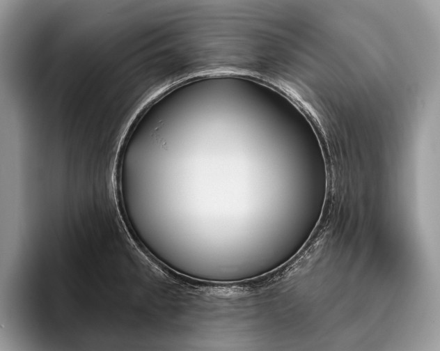X0000095931189200802011015