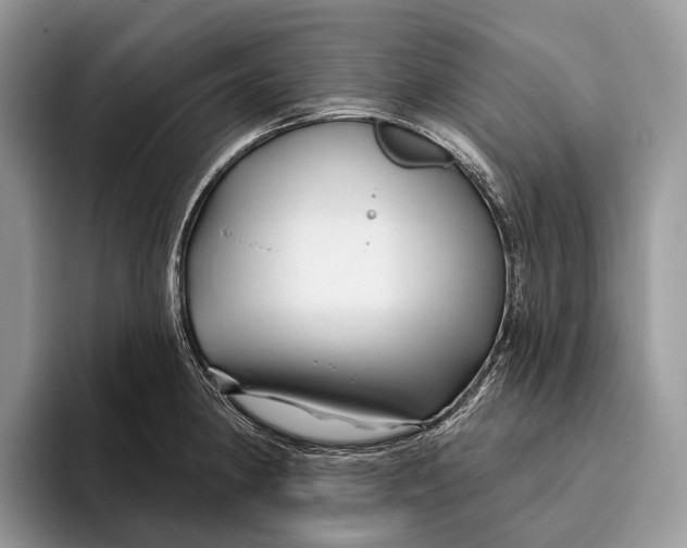 X0000095931190200802011015