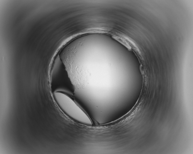 X0000095931192200802011015