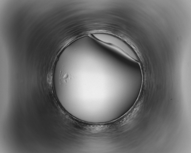 X0000095931193200802011015