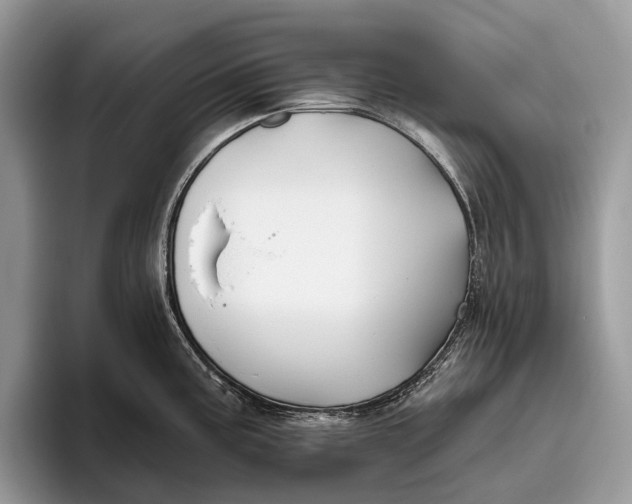 X0000095931195200802011015