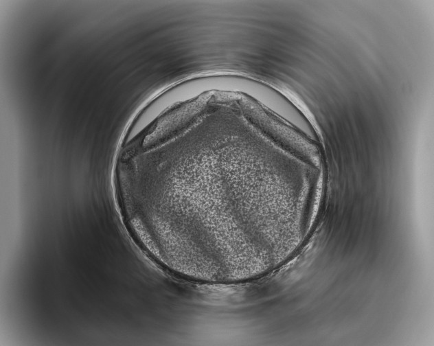X0000095931197200802011015