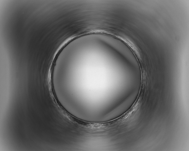 X0000095931198200802011015