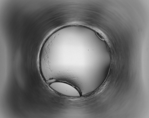 X0000095931199200802011015
