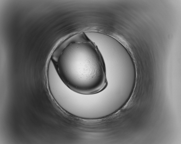 X0000095931200200802011015