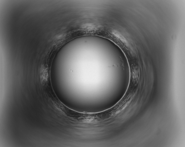 X0000095931204200802011014