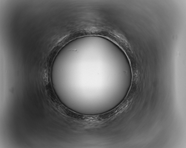 X0000095931205200802011014