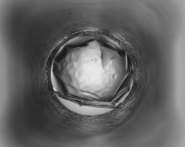 X0000095931208200802011014