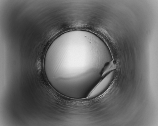 X0000095931209200802011014