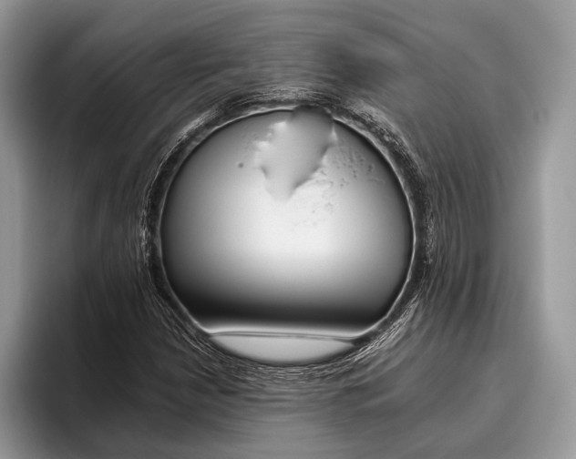 X0000095931210200802011014