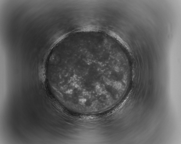 X0000095931213200802011014