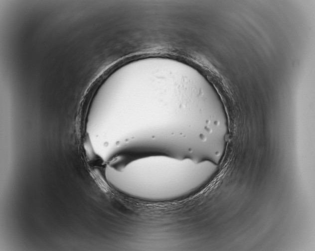 X0000095931216200802011014