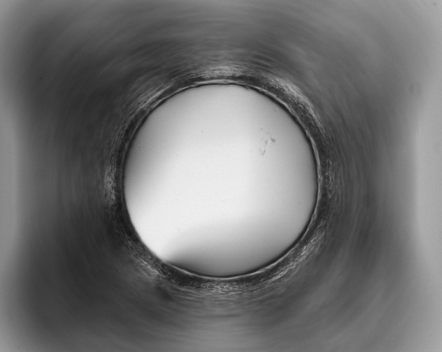 X0000095931217200802011014
