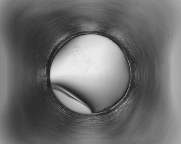 X0000095931218200802011014