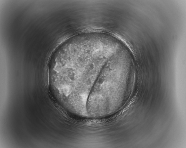 X0000095931219200802011014