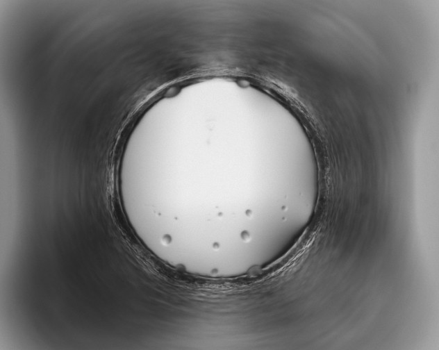 X0000095931220200802011014