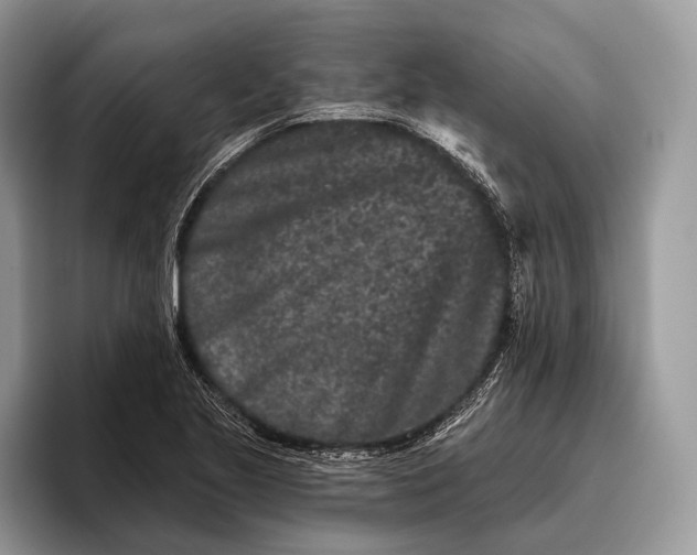 X0000095931221200802011014