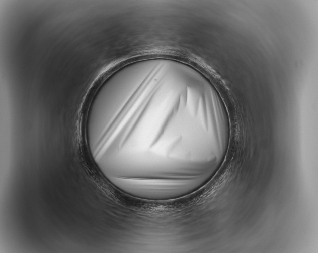 X0000095931222200802011014
