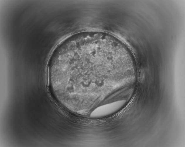 X0000095931223200802011014