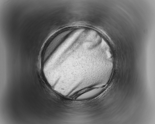 X0000095931224200802011014