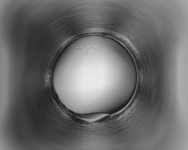 X0000095931225200802011014