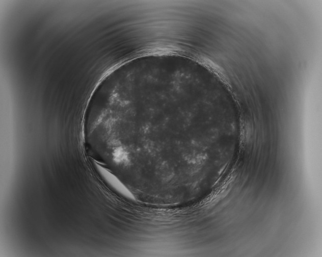 X0000095931226200802011014