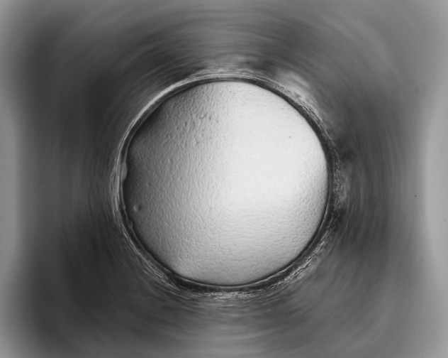 X0000095931228200802011014