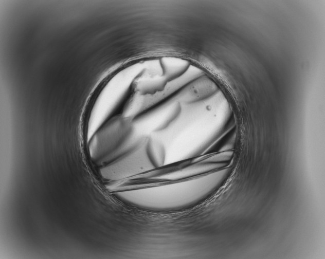 X0000095931230200802011014