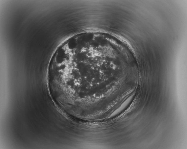 X0000095931231200802011014