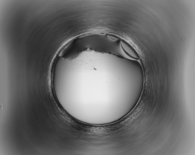 X0000095931232200802011014