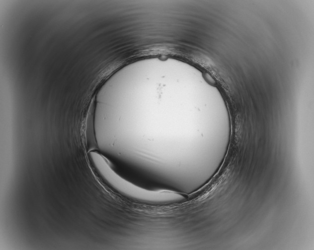 X0000095931233200802011014