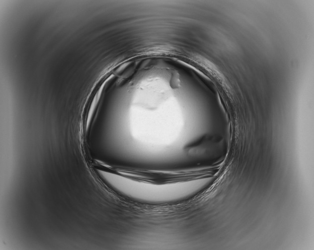 X0000095931234200802011014