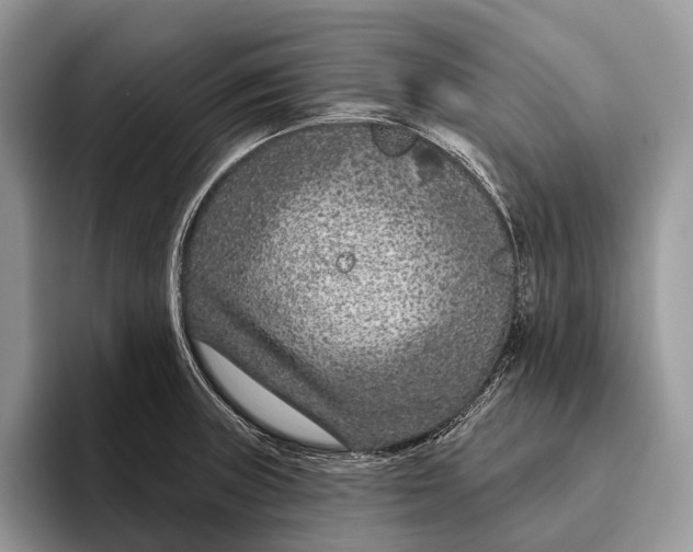 X0000095931235200802011015