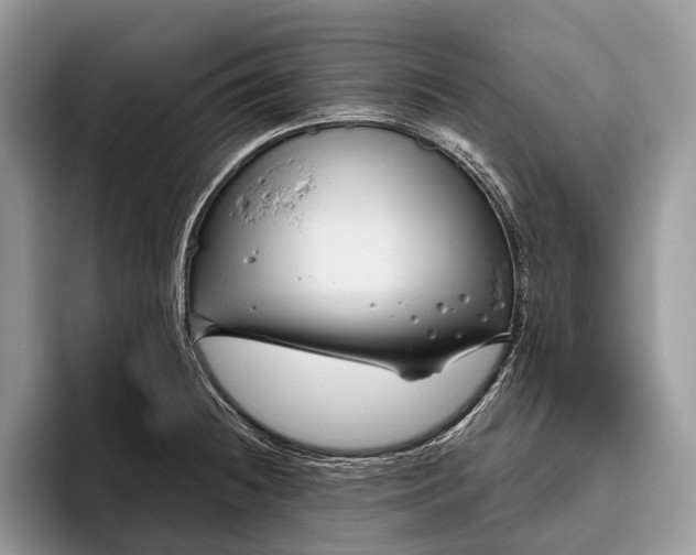 X0000095931236200802011015