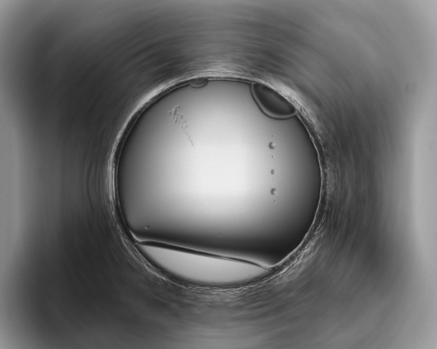X0000095931238200802011015