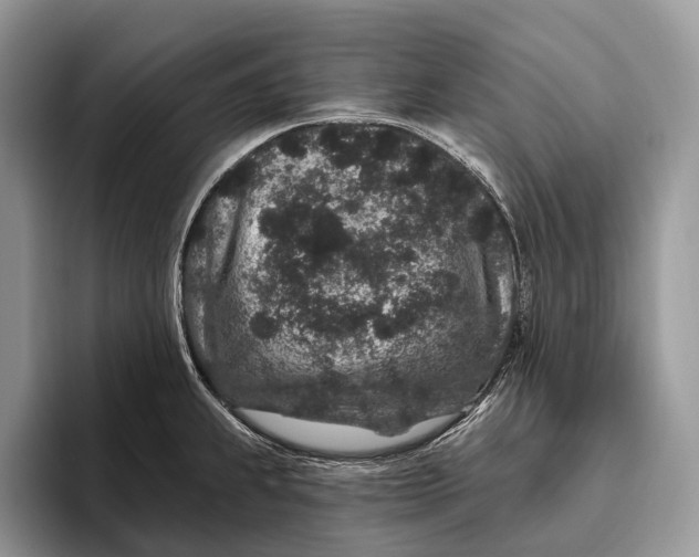X0000095931239200802011015
