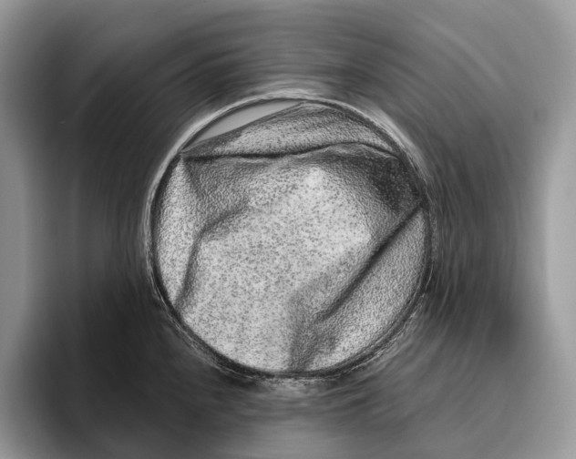 X0000095931240200802011015