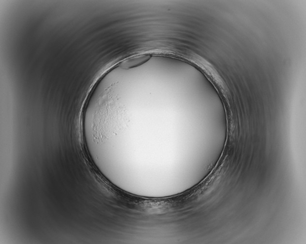 X0000095931242200802011015
